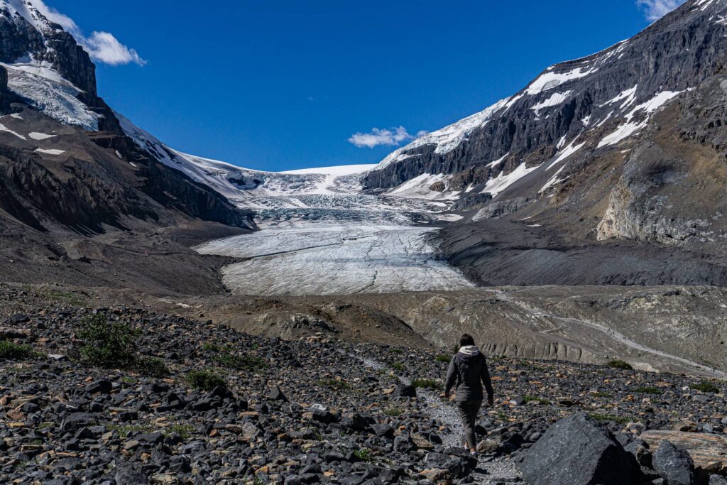 le glacier athabasca au champ de glace columbia
