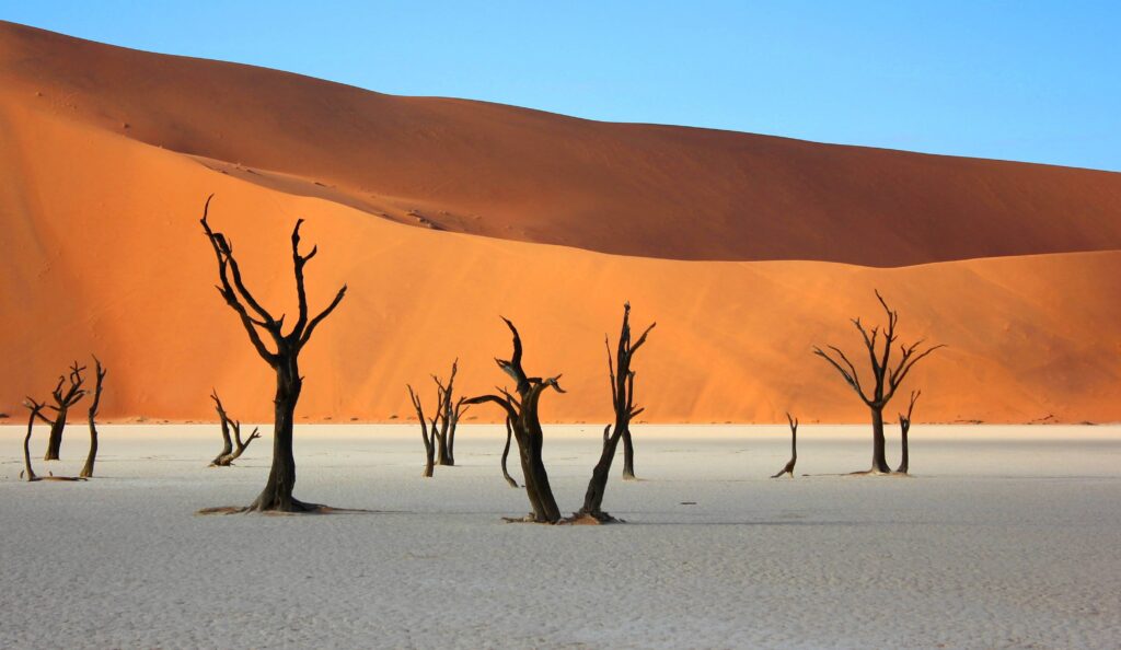 le désert en Namibie