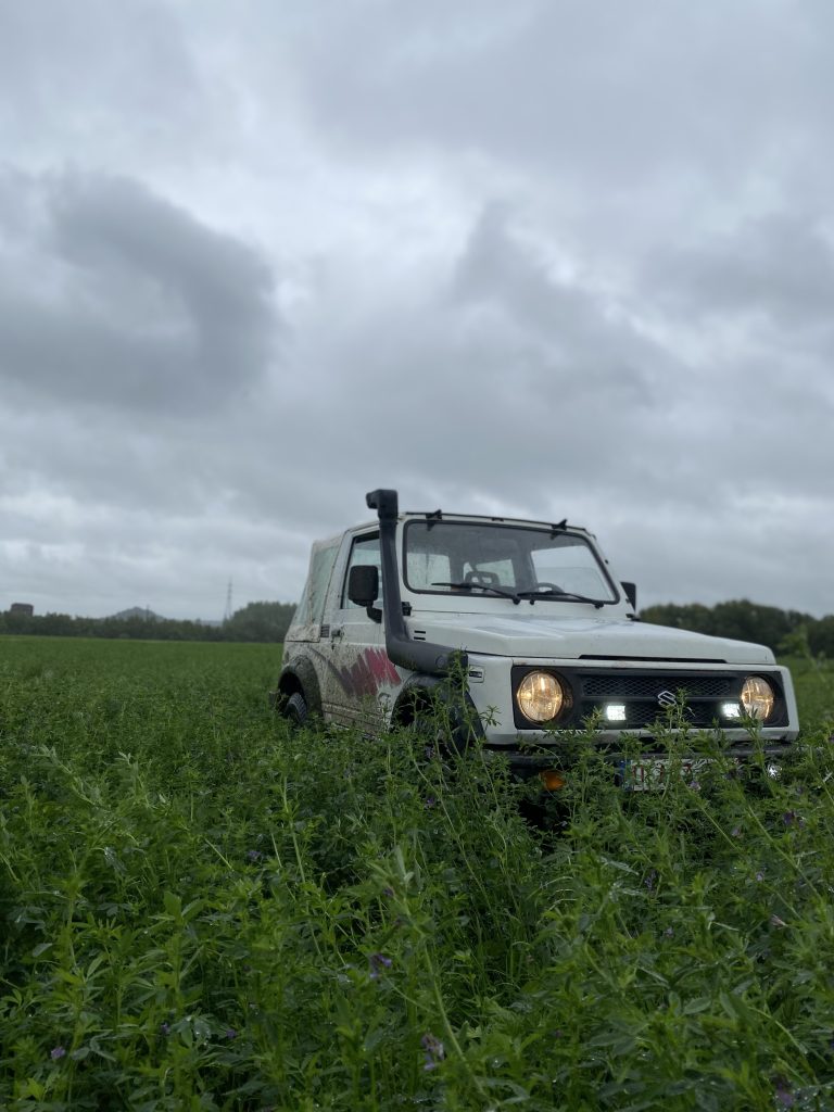petite 4x4 suzuki dans l'herbe